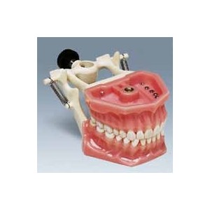 /img/p/19-58-thickbox.jpg