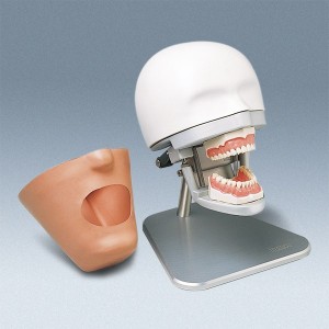 /img/p/25-69-thickbox.jpg