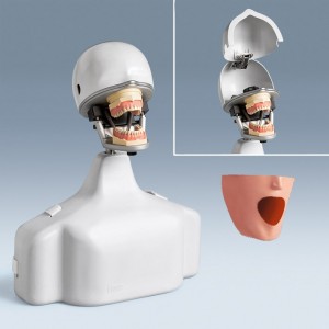 /img/p/26-70-thickbox.jpg